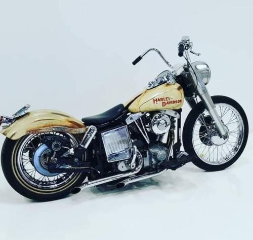 Motores Harley Davidson (11)