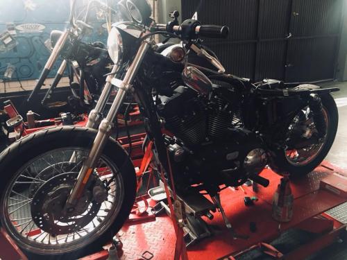 Transformacion Harley Davidson 7334