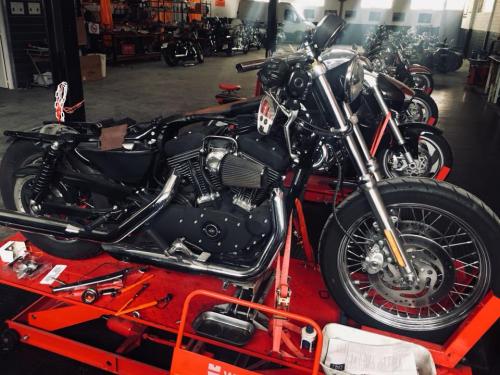Transformacion Harley Davidson 7336