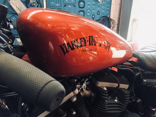 Transformacion Harley Davidson 7192